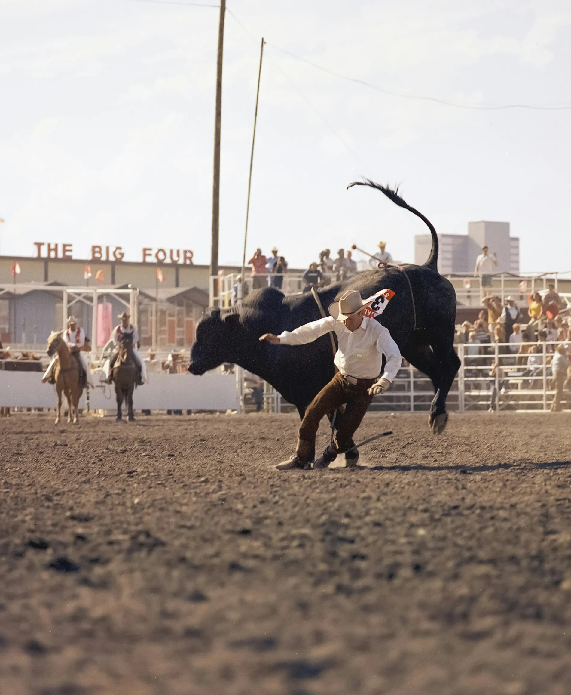A rodeo bullfighter in the arena